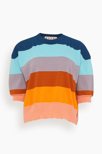 Roundneck Sweater in Multicolor