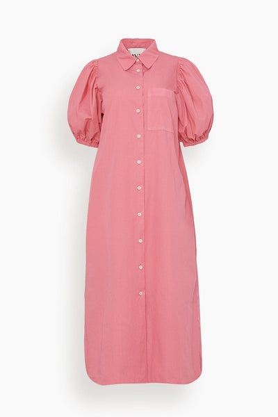 Tulip Dress in Pink