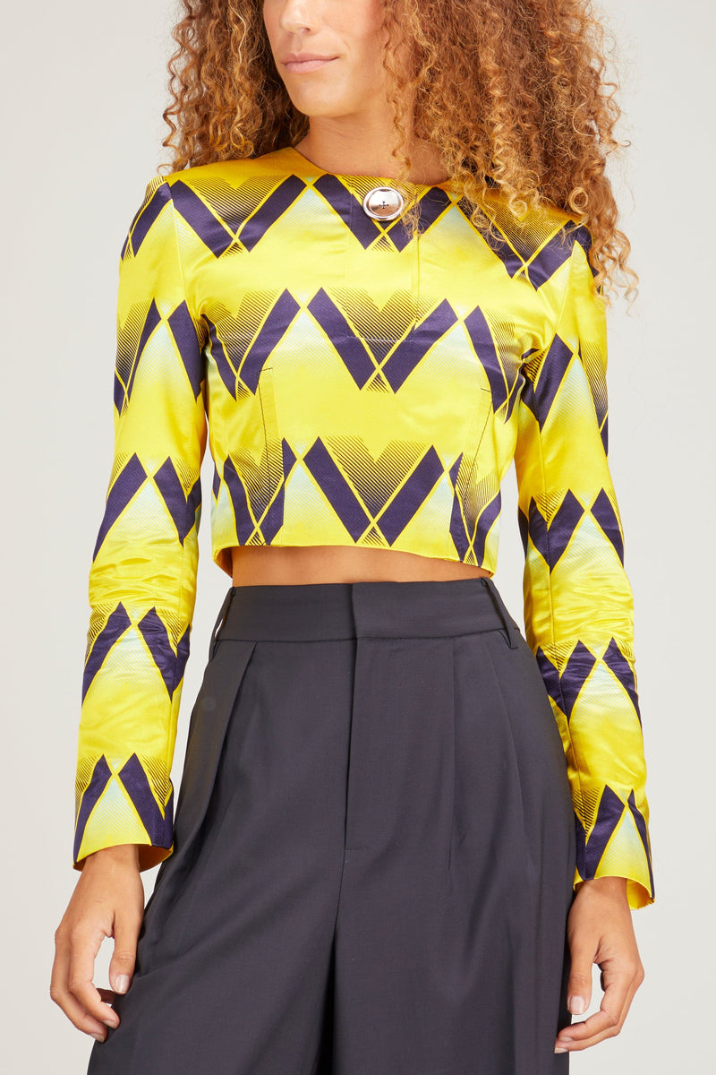 Meryll Rogge Top with Button Placket in Yellow – Hampden Clothing