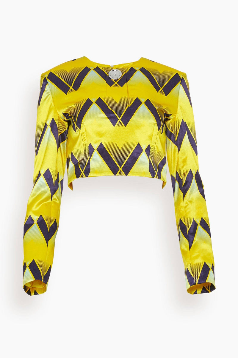 Meryll Rogge Top with Button Placket in Yellow – Hampden Clothing