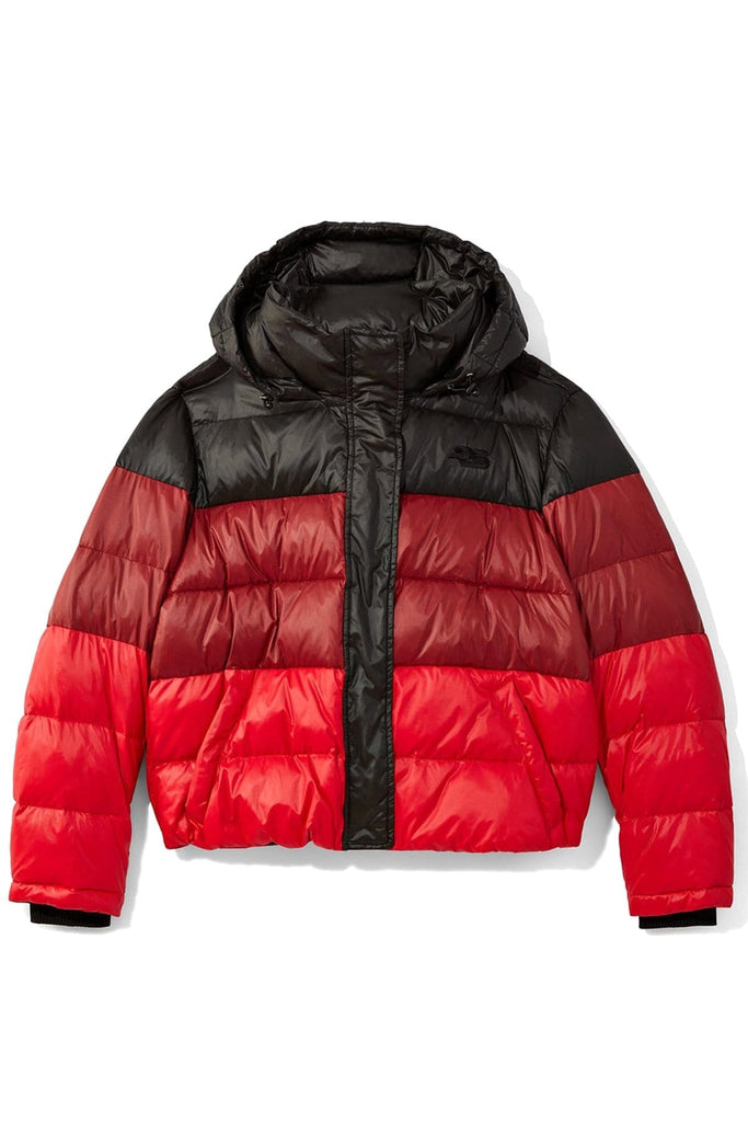 Hooded Puff Jacket in Black/Burgundy – Hampden Clothing