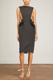 Sukeina Dresses Sculpted Dress in Black/Beige Sukeina Sculpted Dress in Black/Beige