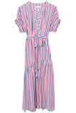 Xirena Clothing Drue Dress in Bastille Stripe